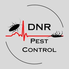 DNR Logo